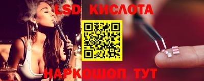 прущие грибы Кулебаки