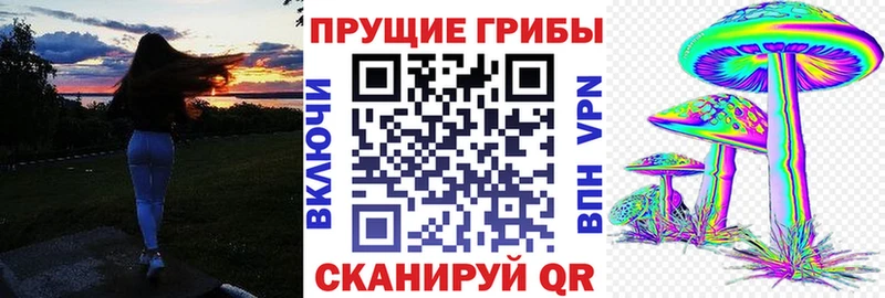 Псилоцибиновые грибы мицелий  наркота  Троицк 