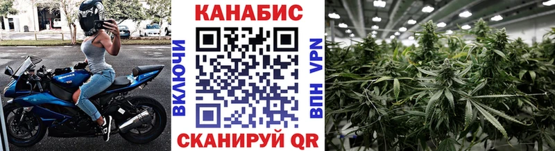 Шишки марихуана Amnesia  Троицк 